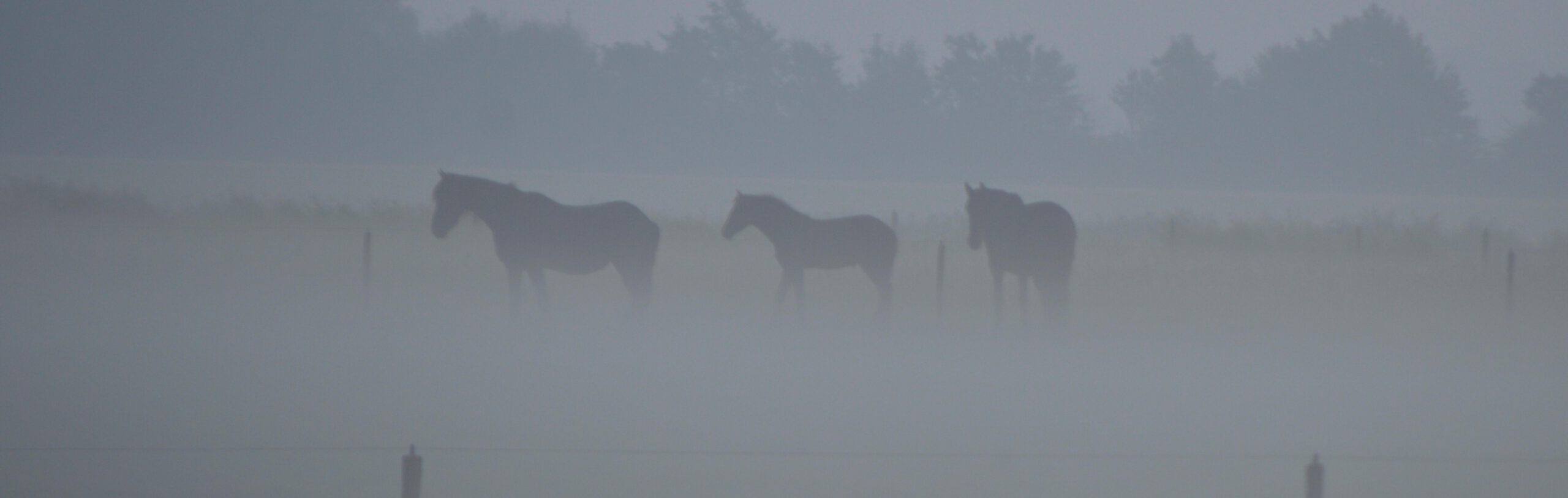 Nieuwsbrief Oktober: Coaching in de bak – V